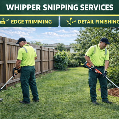 ChatGPT Image Feb 1, 2026, 04_03_01 PM ChatGPT Image Feb 1, 2026, 04_03_01 PM